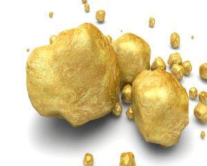 10 moduri de utilizare a resurselor naturale