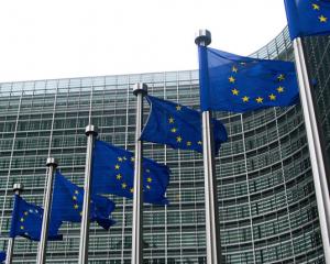 Protocol privind cooperarea culturala. Declaratiile comisiei