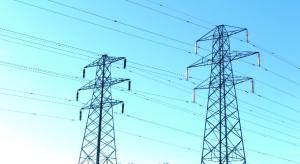 Unul dintre cei mai importanti furnizori de energie electrica isi extinde activitatea in Romania
