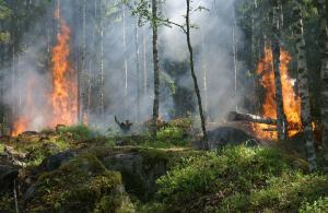 Sfaturi pentru prevenirea incendiilor de vegetatie