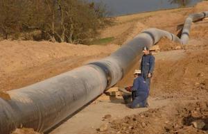 Directorul general OMV: Negocierile pentru proiectul South Stream trebuie sa fie accelerate