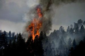 Atentionare de calatorie Grecia - Stare de urgenta determinata de incendii pe insula Thasos