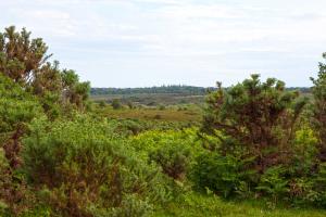 ORDIN nr. 1.166 privind aprobarea Planului de management al ariilor naturale protejate