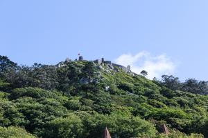 Greenpeace Romania cere masuri ferme pentru protejarea padurilor virgine