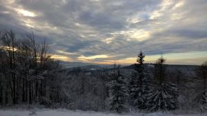 ORDIN privind aprobarea schemei de ajutor de stat Servicii de silvomediu, servicii climatice si conservarea padurilor