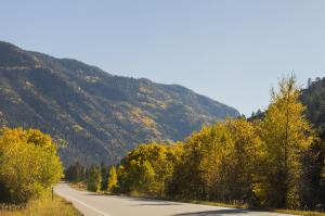 Sprijin financiar pentru prima impadurire si crearea de suprafete impadurite