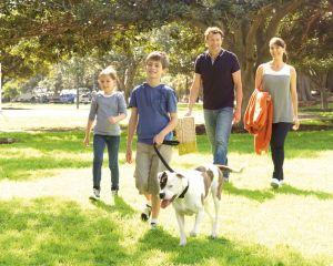 Parcul Natural Vacaresti a obtinut statutul de arie naturala protejata