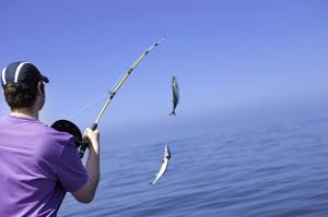 MADR anunta lansarea Programului Operational pentru Pescuit si Afaceri Maritime