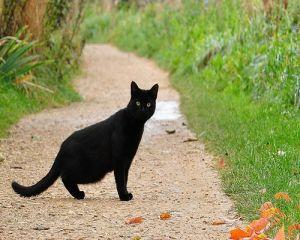 Top 6 superstitii din popor. Tu crezi in ele?