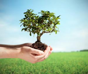 Obligatiile persoanelor fizice si juridice. Capitolul XIV din OUG 195/2005, Sectiunea 3