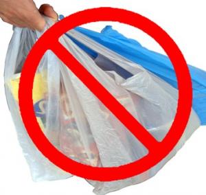 Statele membre ale Uniunii Europene, obligate sa reduca utilizarea pungilor de plastic