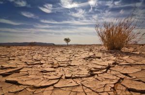 Avertizare ONU: planeta risca sa fie supusa unor schimbari climatice majore