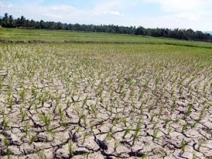 Daniel Constantin: Seceta creeaza mai multe probleme decat inundatiile