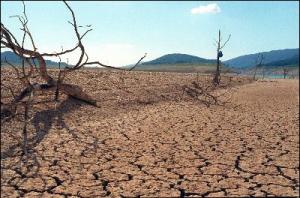 Schimbarile climatice ii fac pe oameni mai violenti