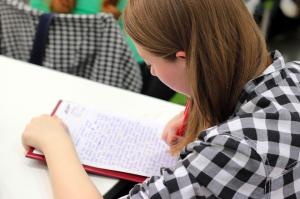 Guvernul a aprobat domeniile si programele de studii universitare de masterat