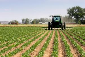 Guvernul acorda sprijin agricultorilor pentru achizitionarea motorinei