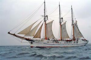 Legea nr. 105, Cap. V: Dispozitii diverse