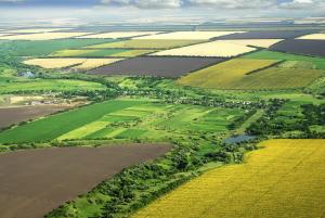 Ministrul Agriculturii: Anul acesta, Romania a fost privilegiata de conditiile meteo